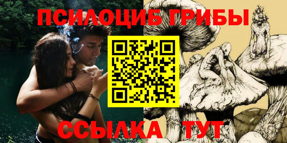 Зерноград  Псилоцибиновые грибы ЛСД  Вход с VPN 